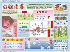 白小姐内幕A