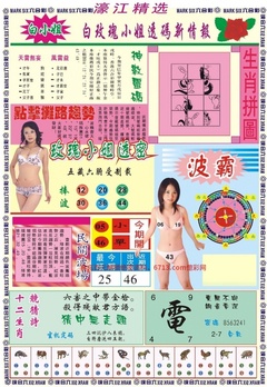 濠江精选B